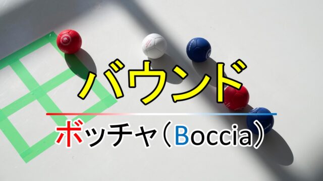 【ボッチャ】趣味を始める難易度はどれくらい！？始めるための